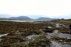 Coastline at NessPoint - with lots of Bladderwrack